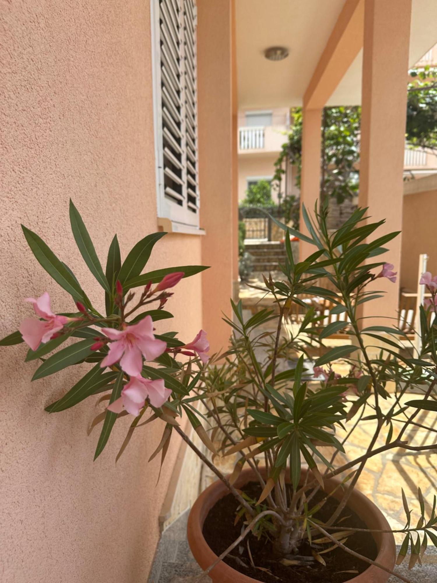 Apartments Zlatka Трогир Екстериор снимка
